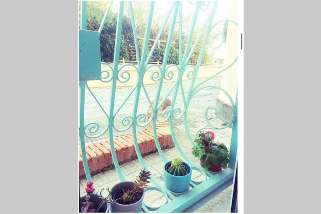 Апартаменты Cosy Studio Flat On The Seaside Лидо-ди-Остия Экстерьер фото